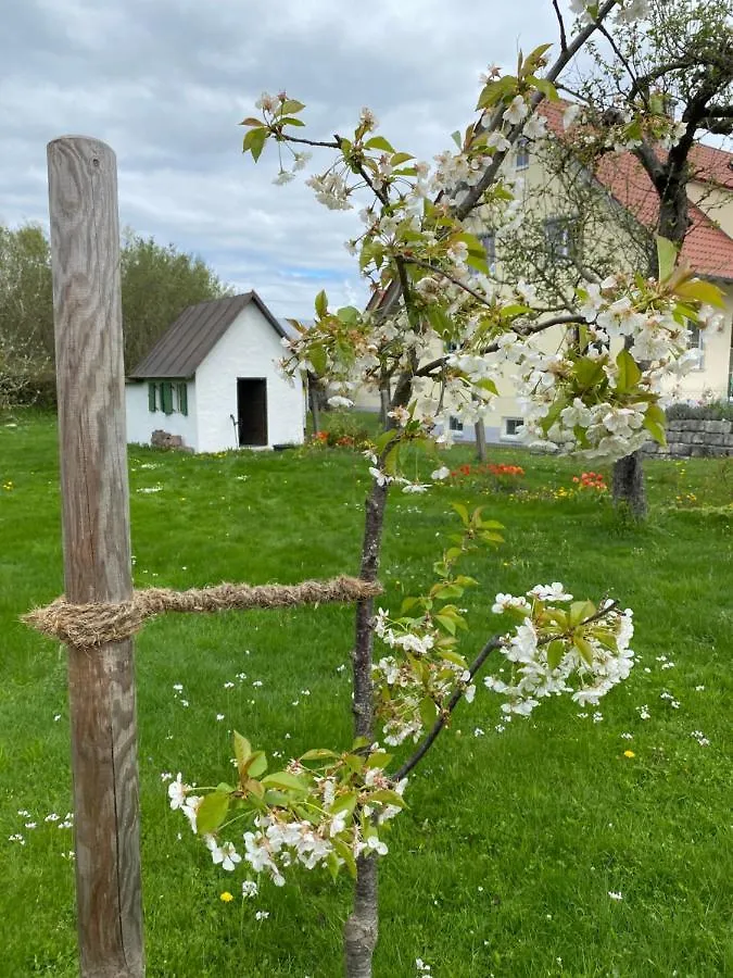 Tiny Haus Mit Wunderbarem Garten Apartment Lauingen