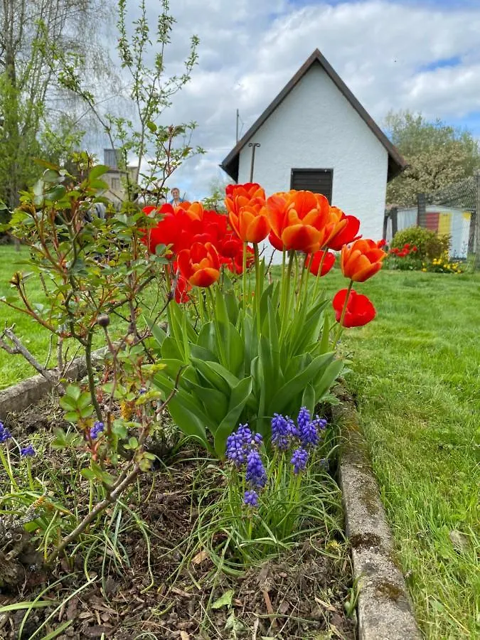Tiny Haus Mit Wunderbarem Garten Apartment Lauingen